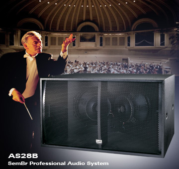 AS28B 双18吋超低频音箱