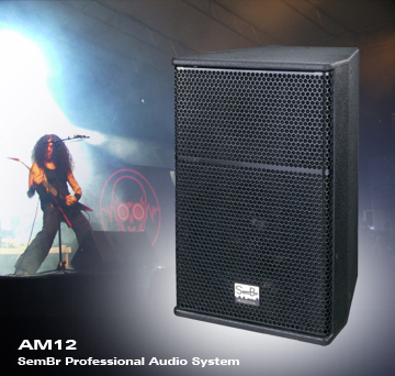 AM12 12吋二分频全频音箱